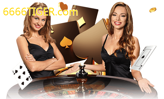 Jogue com dealers reais no 6666TIGER.com!